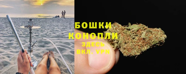 спиды Богородск