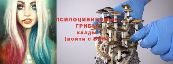 твердый Белокуриха
