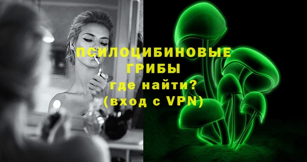 спиды Богородск