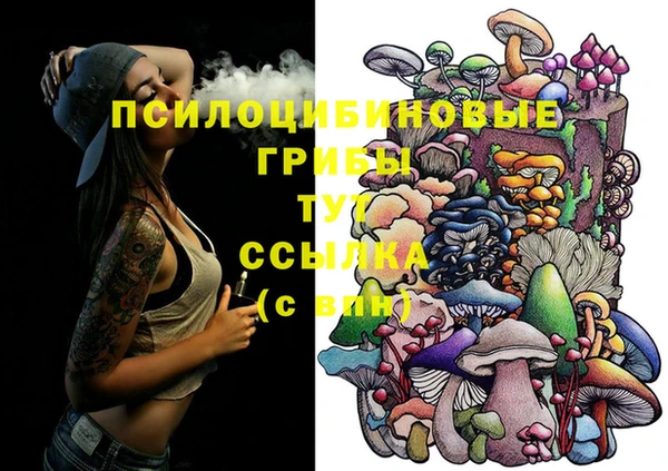 а пвп мука Богданович