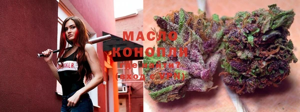 тгк Богородицк