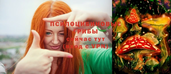 тгк Богородицк