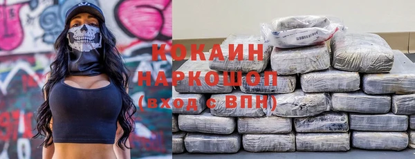 тгк Богородицк