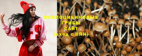 а пвп мука Богданович
