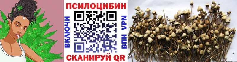 Псилоцибиновые грибы ЛСД  где купить наркоту  Дигора 